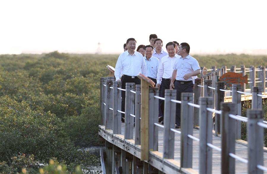 CHINA-GUANGXI-XI JINPING-INSPECTION (CN)