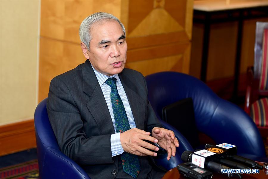 EGYPT-CAIRO-CHINA-SPECIAL ENVOY TO SYRIA-INTERVIEW