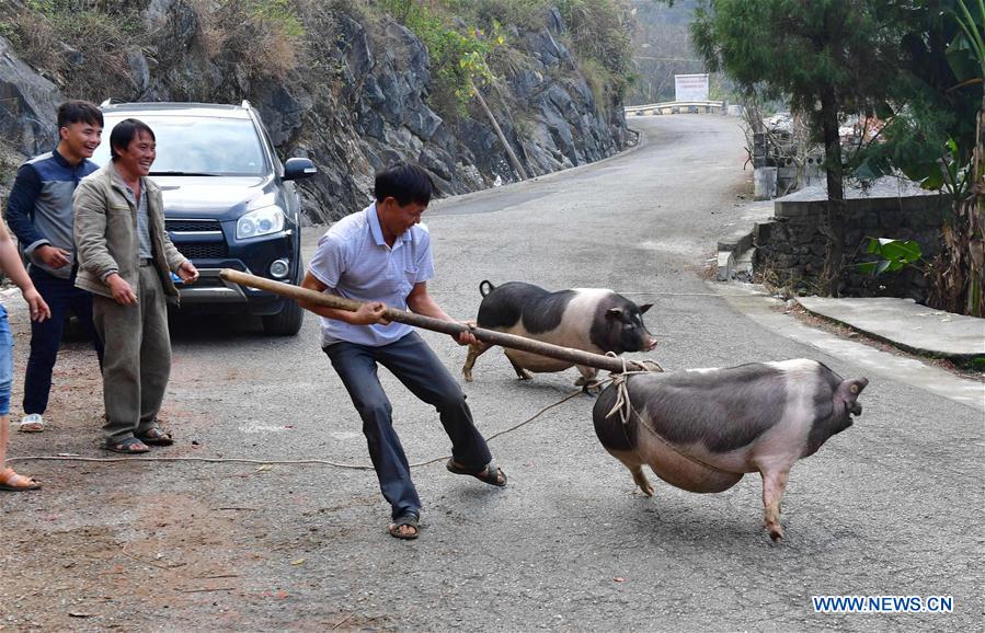 CHINA-GUANGXI-POVERTY-ALLEVIATION (CN)