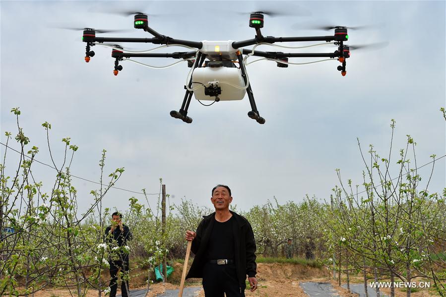 CHINA-SHANXI-DRONE-PESTICIDE (CN)