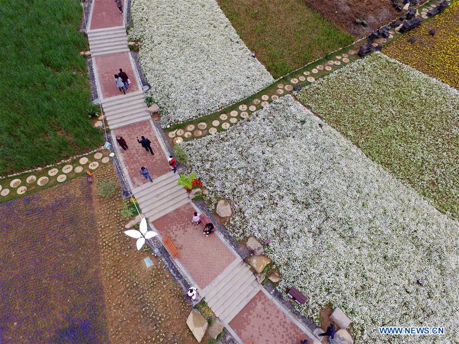 CHINA-JIANGXI-NANCHANG-FLORAL EXPO GARDEN (CN)
