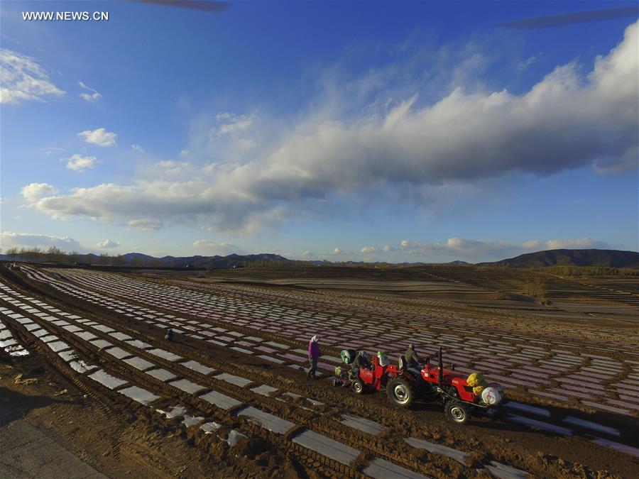 #CHINA-HEBEI-FARMING-AERIAL VIEWS (CN)