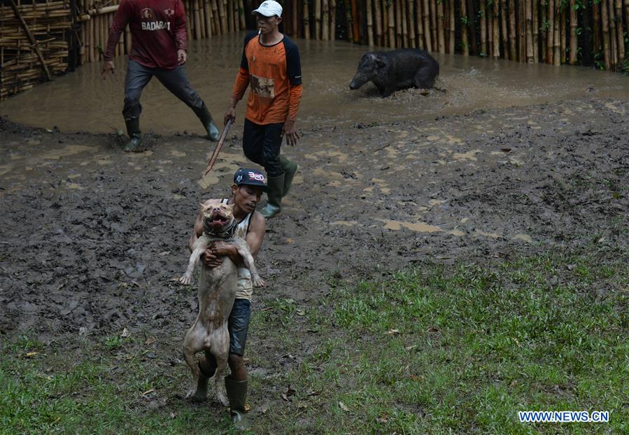 INDONESIA-BANDUNG-TRADITIONAL ANIMAL GAMES