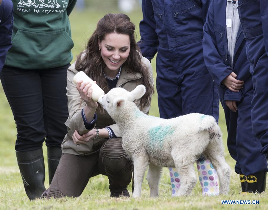 BRITAIN-ARLINGHAM-DUCHESS OF CAMBRIDGE-CHARITY FARM-VISIT
