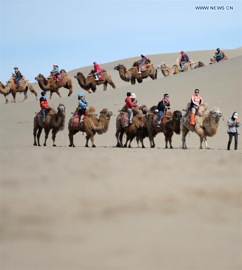 CHINA-GANSU-DUNHUANG-MINGSHA SAND MOUNTAIN-CAMEL CARAVAN(CN)