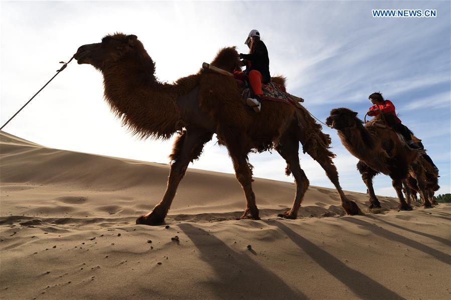 CHINA-GANSU-DUNHUANG-MINGSHA SAND MOUNTAIN-CAMEL CARAVAN(CN)
