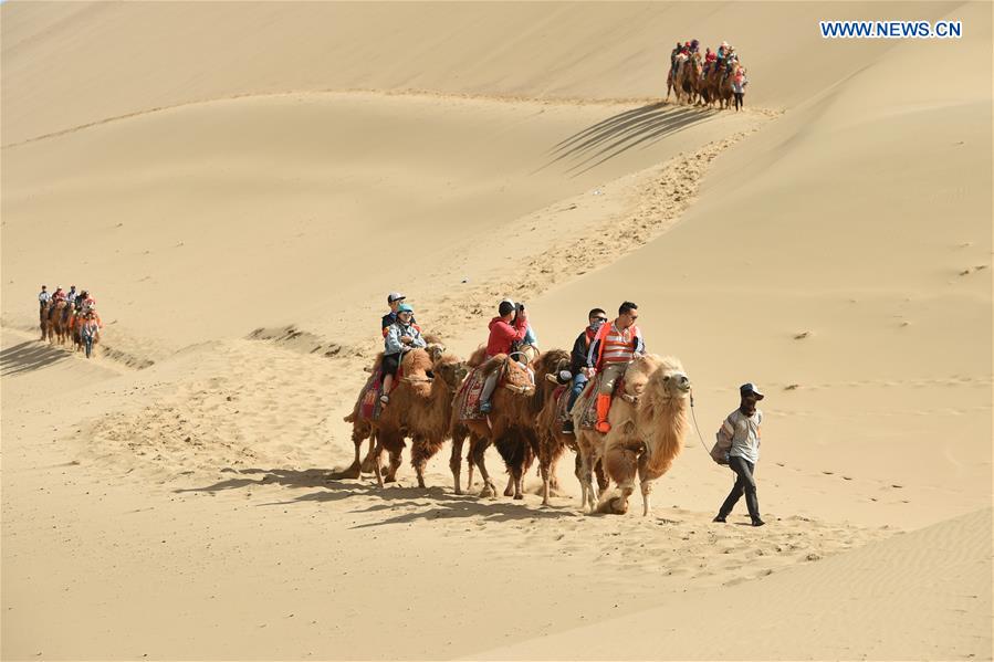 CHINA-GANSU-DUNHUANG-MINGSHA SAND MOUNTAIN-CAMEL CARAVAN(CN)