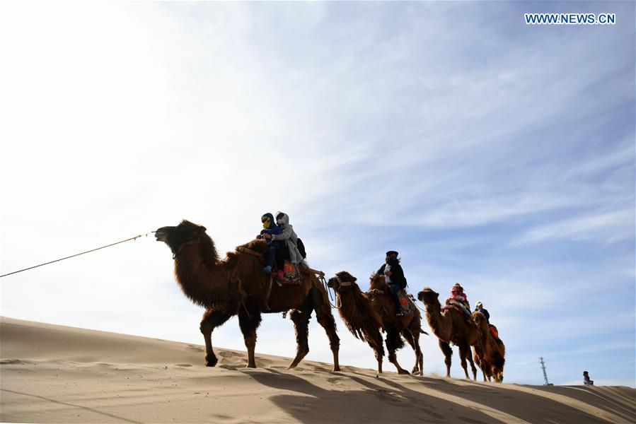 CHINA-GANSU-DUNHUANG-MINGSHA SAND MOUNTAIN-CAMEL CARAVAN(CN)