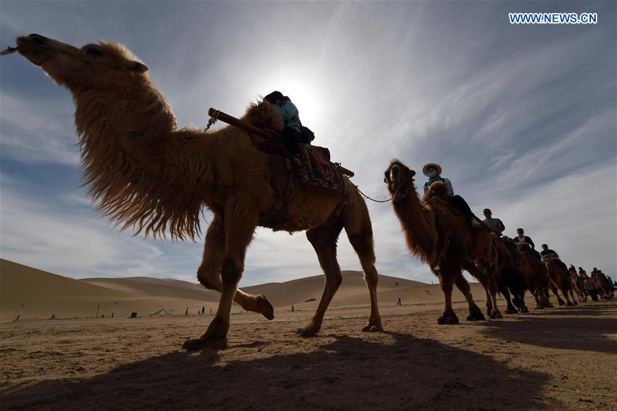 CHINA-GANSU-DUNHUANG-MINGSHA SAND MOUNTAIN-CAMEL CARAVAN(CN)