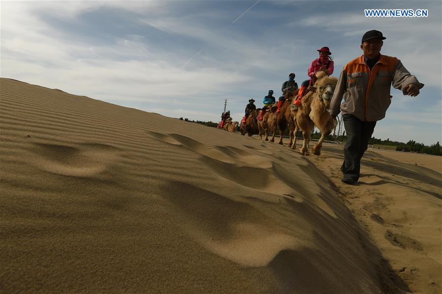 CHINA-GANSU-DUNHUANG-MINGSHA SAND MOUNTAIN-CAMEL CARAVAN(CN)