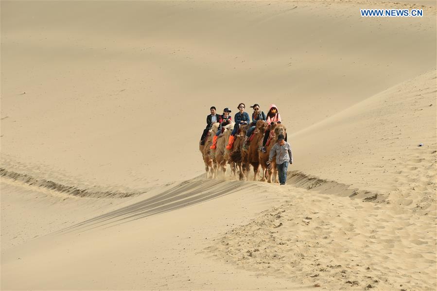 CHINA-GANSU-DUNHUANG-MINGSHA SAND MOUNTAIN-CAMEL CARAVAN(CN)