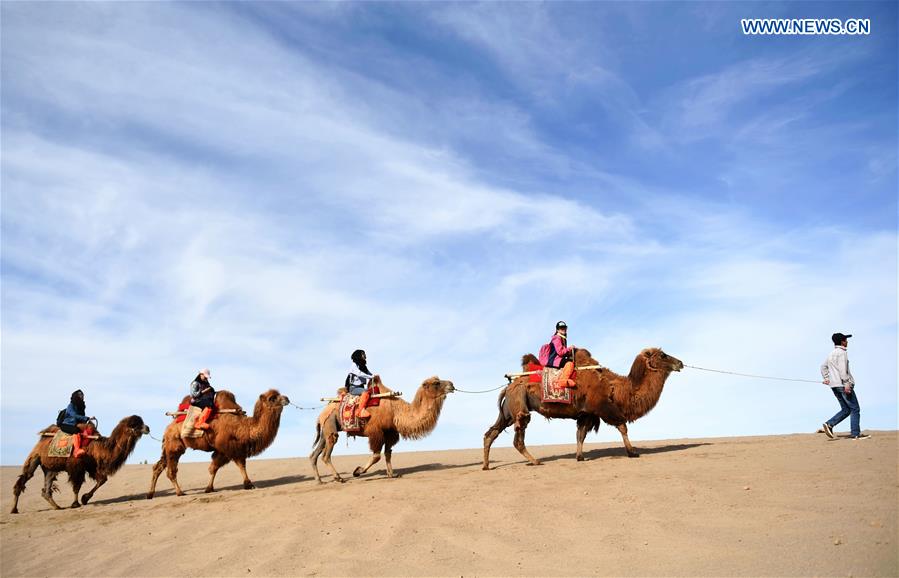 CHINA-GANSU-DUNHUANG-MINGSHA SAND MOUNTAIN-CAMEL CARAVAN(CN)