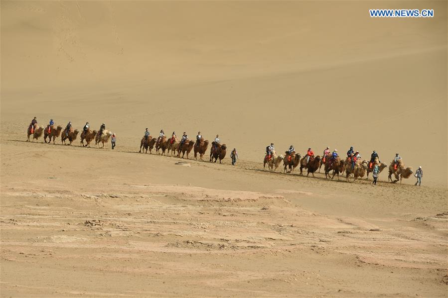 CHINA-GANSU-DUNHUANG-MINGSHA SAND MOUNTAIN-CAMEL CARAVAN(CN)