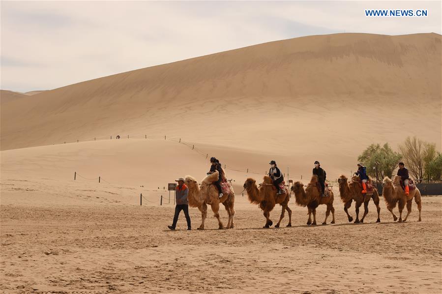 CHINA-GANSU-DUNHUANG-MINGSHA SAND MOUNTAIN-CAMEL CARAVAN(CN)
