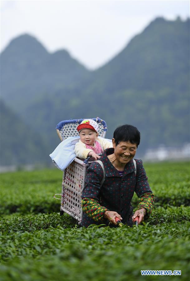 #CHINA-HUBEI-SUMMER-AGRICULTURE (CN)