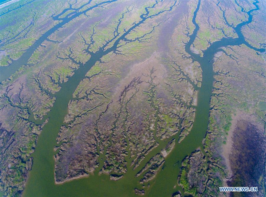 #CHINA-JIANGSU-NANTONG-INTERTIDAL ZONE(CN)