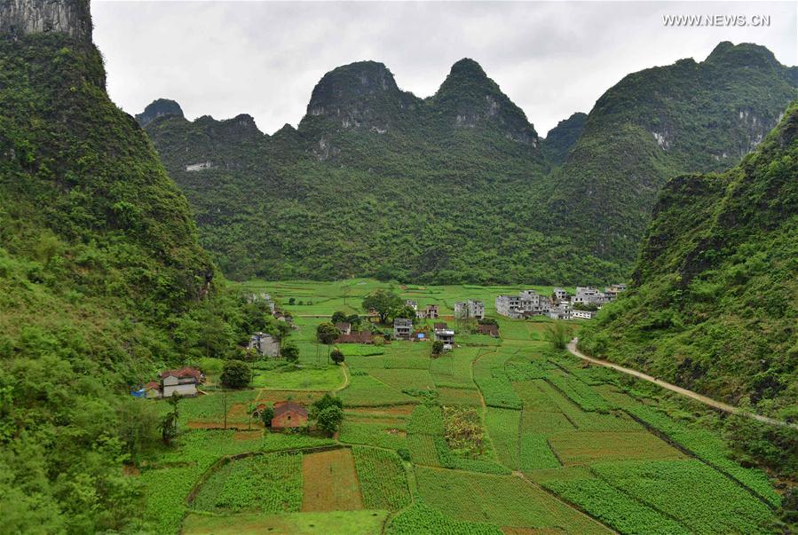 CHINA-GUANGXI-DAHUA-ROLE MODEL (CN)