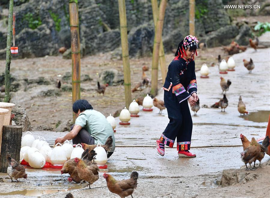 CHINA-GUANGXI-DAHUA-ROLE MODEL (CN)