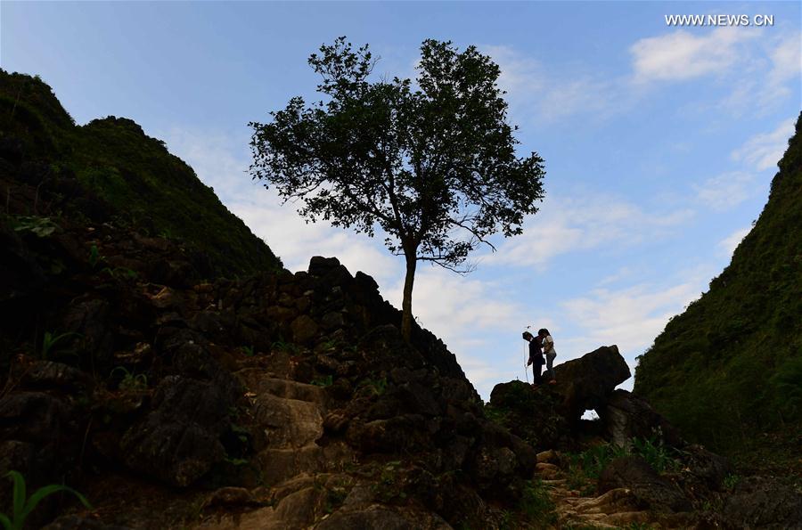 CHINA-GUANGXI-DAHUA-ROLE MODEL (CN)