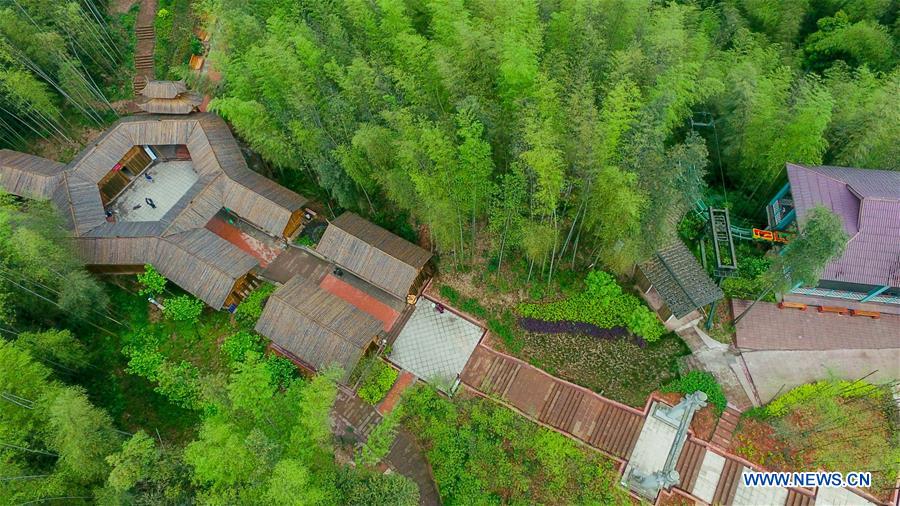 CHINA-GUIZHOU-CHISHUI-BAMBOO FOREST PARK (CN)