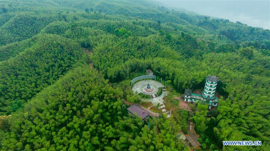 CHINA-GUIZHOU-CHISHUI-BAMBOO FOREST PARK (CN)
