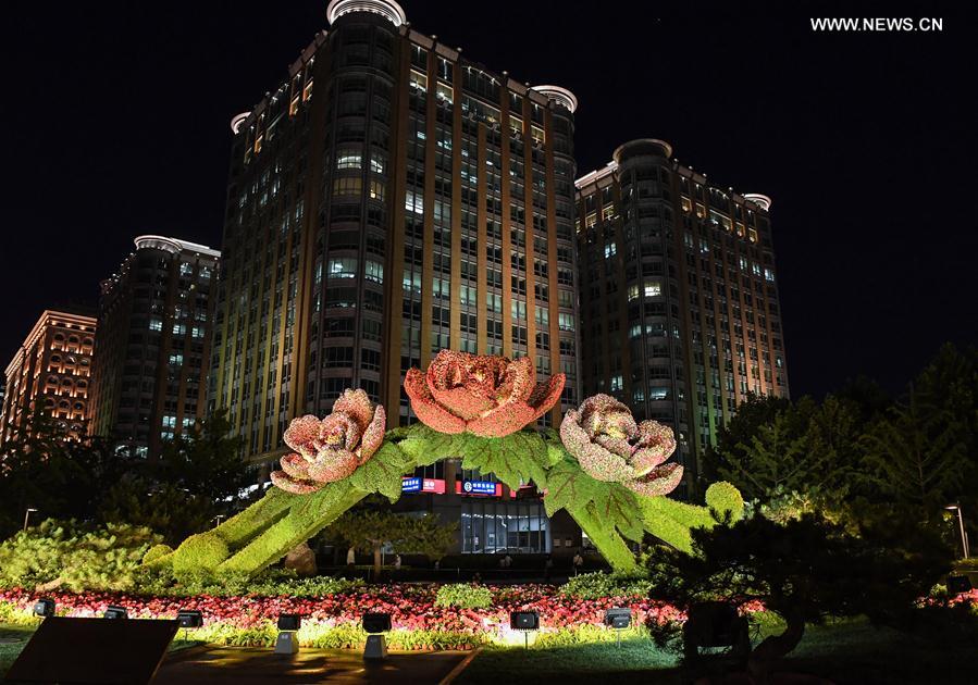 CHINA-BEIJING-BELT AND ROAD-LANDSCAPE LIGHTING (CN) 