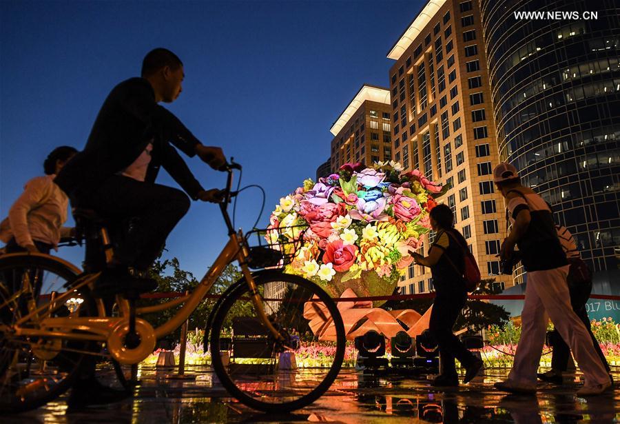 CHINA-BEIJING-BELT AND ROAD-LANDSCAPE LIGHTING (CN)