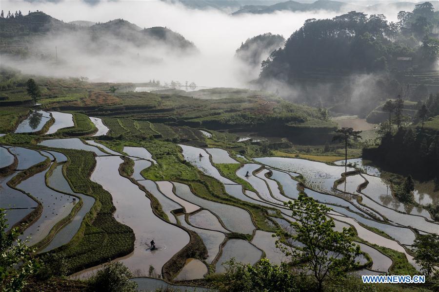 #CHINA-CHONGQING-TERRACE (CN)