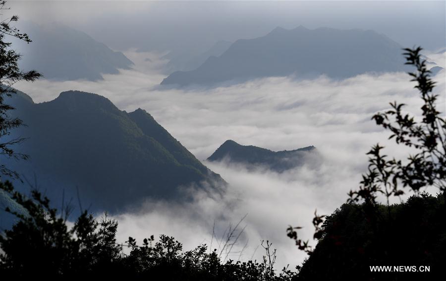 CHINA-SHAANXI-SCENERY-CLOUD SEA (CN)
