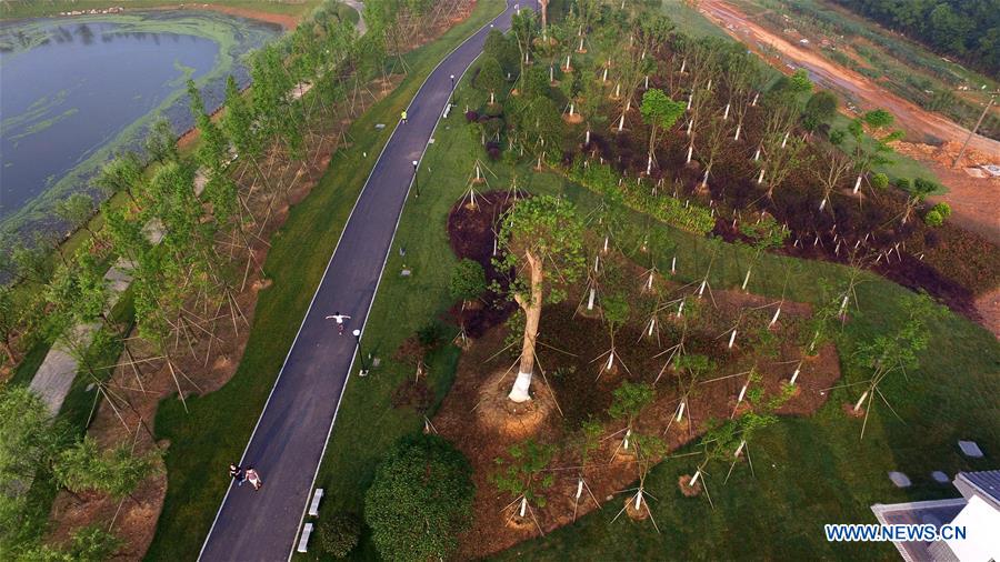 CHINA-JIANGXI-XIN'GAN-ECOLOGICAL CITY (CN)