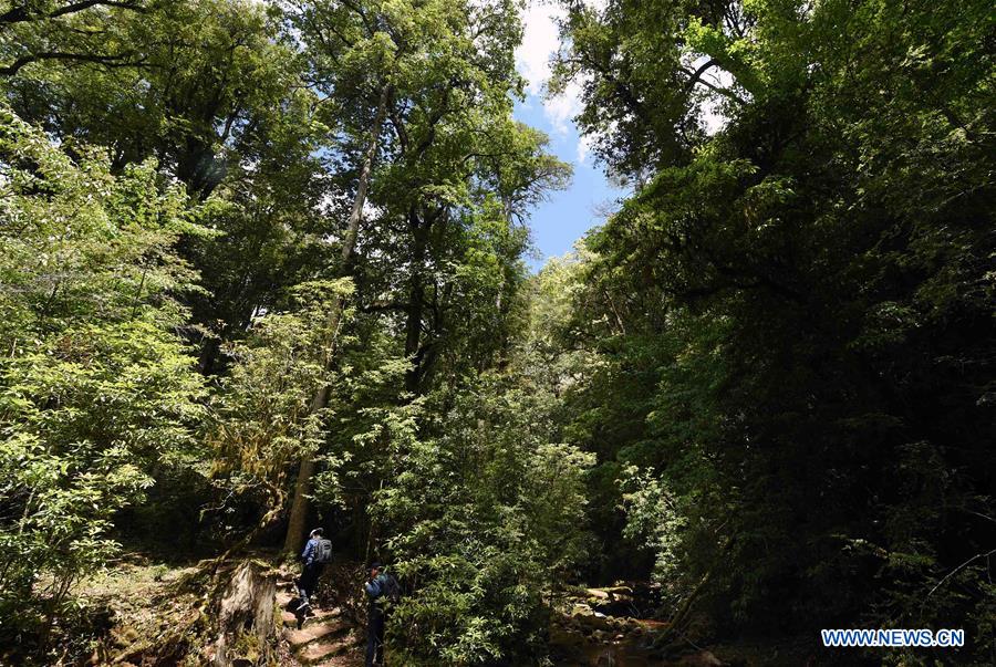 CHINA-YUNNAN-LANPING-SCENERY(CN)