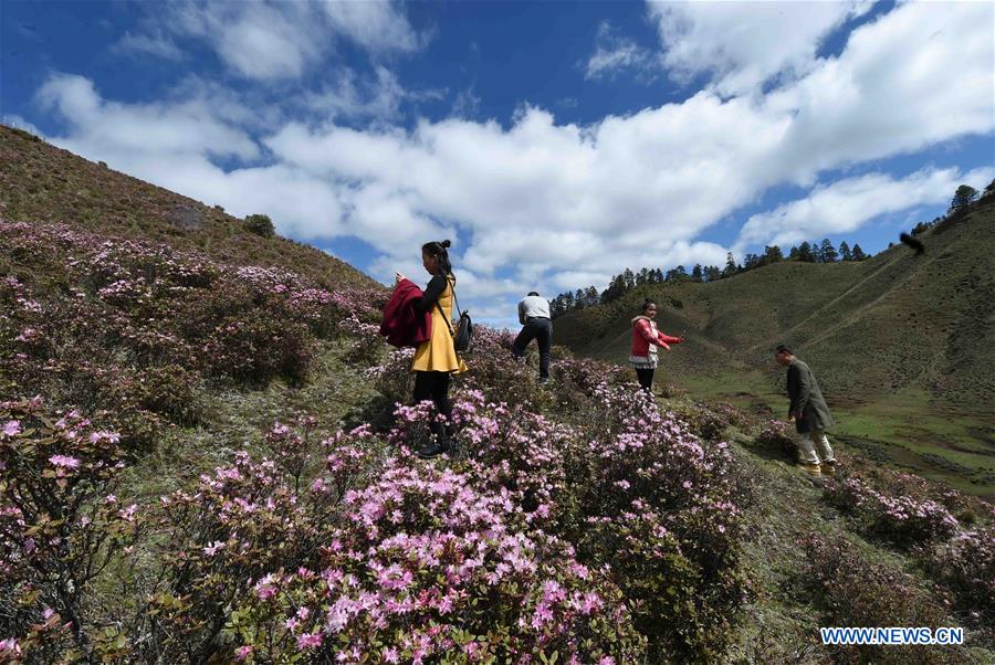 CHINA-YUNNAN-LANPING-SCENERY(CN)