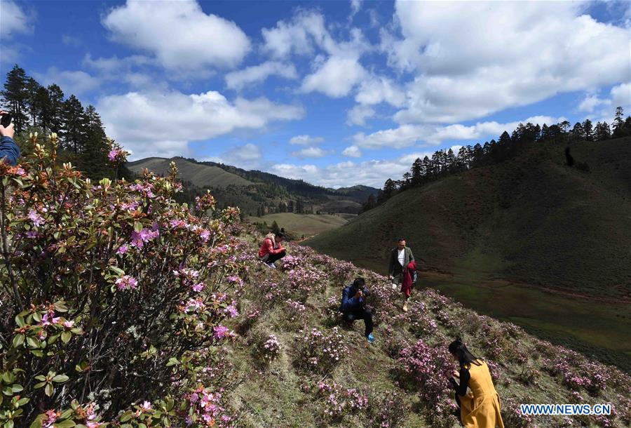 CHINA-YUNNAN-LANPING-SCENERY(CN)