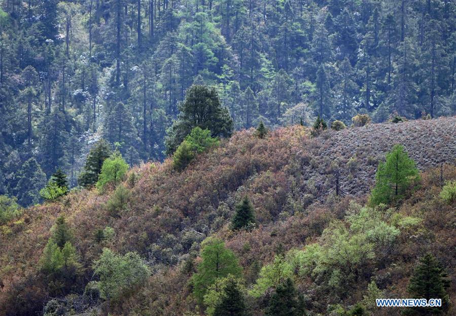 CHINA-YUNNAN-LANPING-SCENERY(CN)