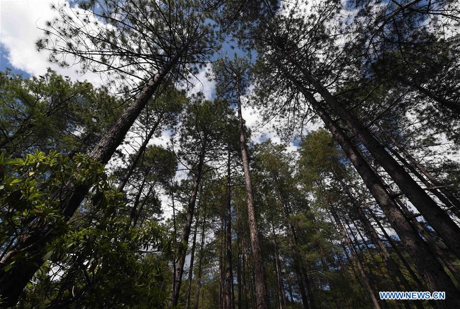 CHINA-YUNNAN-LANPING-SCENERY(CN)