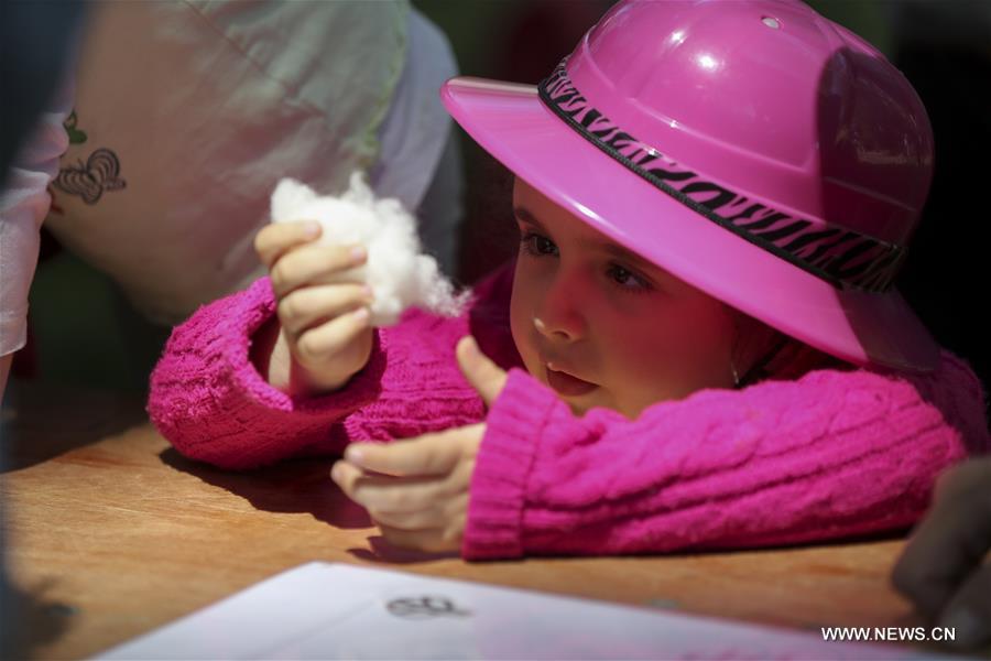 U.S.-NEW YORK-FLEECE FESTIVAL