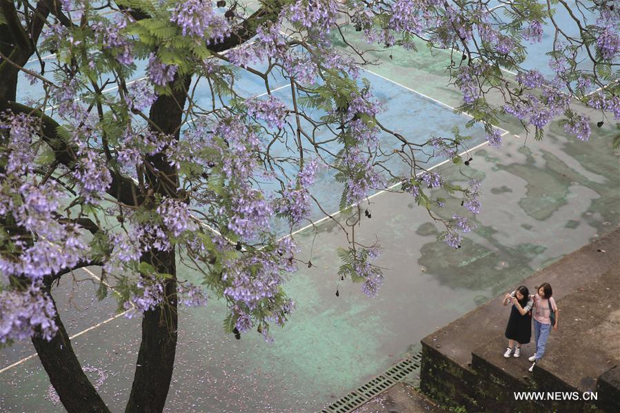 #CHINA-CHONGQING-GRADUATION SEASON (CN)