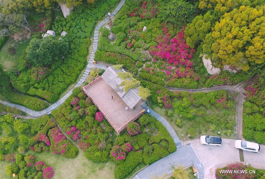 CHINA-FUJIAN-XIAMEN-FLOWER (CN)