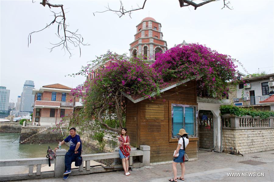 CHINA-FUJIAN-XIAMEN-FLOWER (CN)