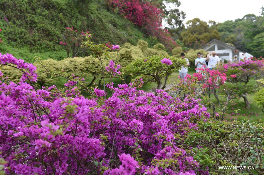 CHINA-FUJIAN-XIAMEN-FLOWER (CN)