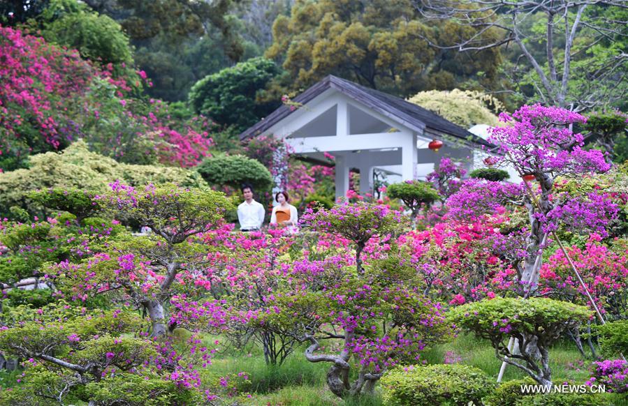 CHINA-FUJIAN-XIAMEN-FLOWER (CN)