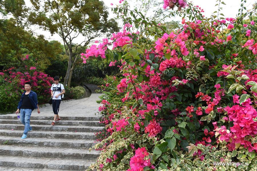 CHINA-FUJIAN-XIAMEN-FLOWER (CN)
