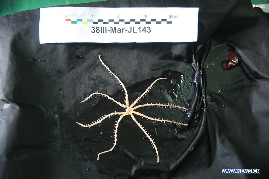 #CHINA-SUBMERSIBLE JIAOLONG-MARIANA TRENCH-DIVE (CN*)  