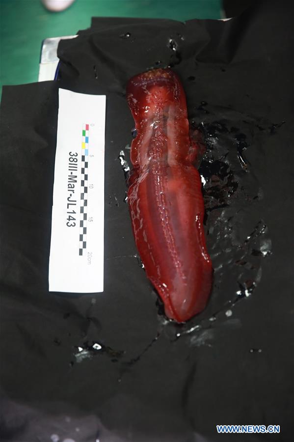 #CHINA-SUBMERSIBLE JIAOLONG-MARIANA TRENCH-DIVE (CN*)