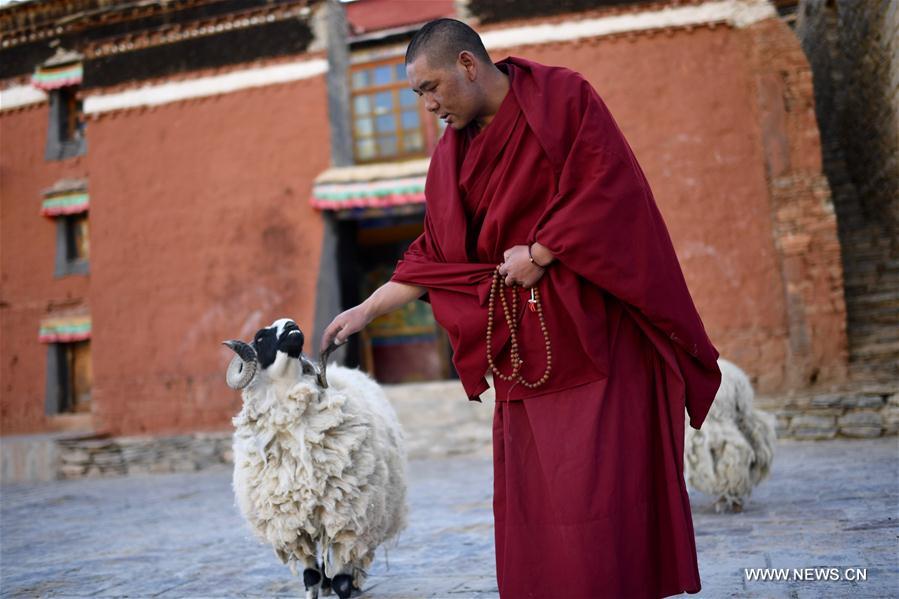 CHINA-TIBET-RONGPU MONASTERY-BUDDHISM-LIFE(CN)