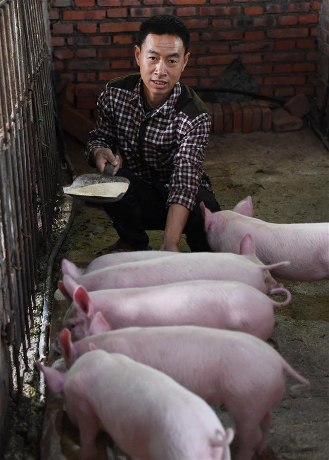 CHINA-SHAANXI-NINGQIANG-POVERTY ALLEVIATION  (CN)