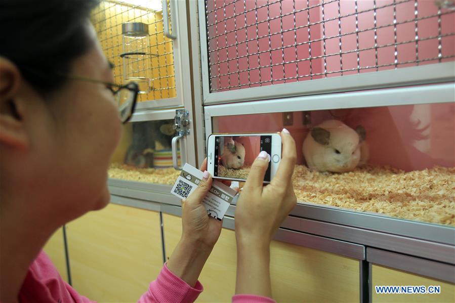 CHINA-YINCHUAN-PET-EXPO (CN)