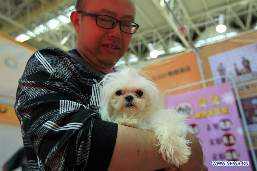 CHINA-YINCHUAN-PET-EXPO (CN)