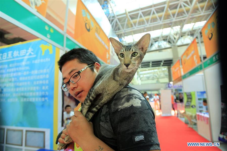 CHINA-YINCHUAN-PET-EXPO (CN)