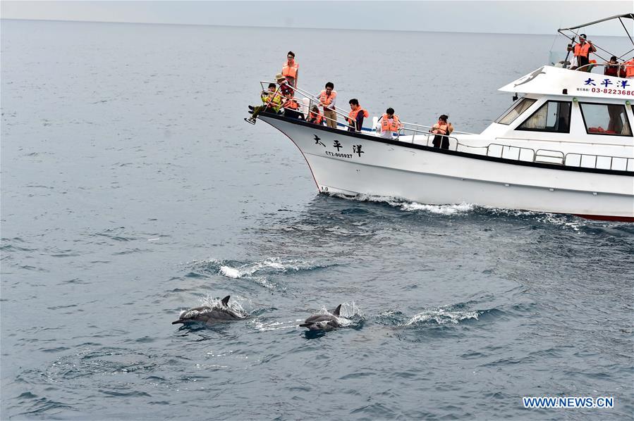 CHINA-HUALIEN-TOURISM-DOPHIN (CN)